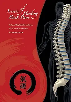 Secrets of Healing Back Pain book cover